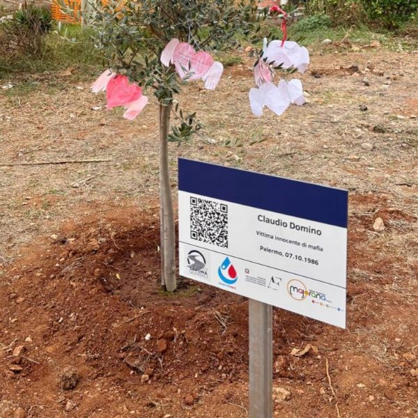 Un ulivo di memoria e speranza al Parco della Memoria di Capaci per il piccolo Claudio Domino, Un ulivo di memoria e speranza al Parco della Memoria di Capaci per il piccolo Claudio Domino