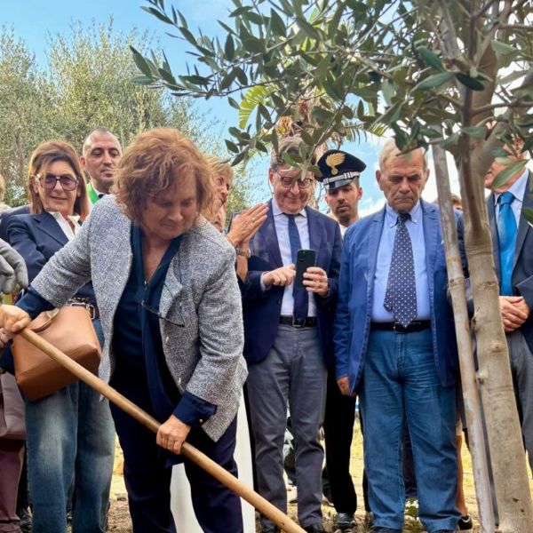 Un ulivo di memoria e speranza al Parco della Memoria di Capaci per il piccolo Claudio Domino, Un ulivo di memoria e speranza al Parco della Memoria di Capaci per il piccolo Claudio Domino