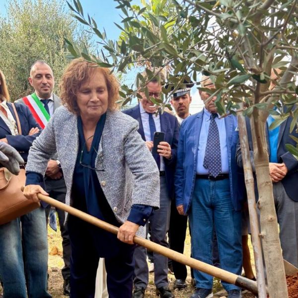 Un ulivo di memoria e speranza al Parco della Memoria di Capaci per il piccolo Claudio Domino, Un ulivo di memoria e speranza al Parco della Memoria di Capaci per il piccolo Claudio Domino