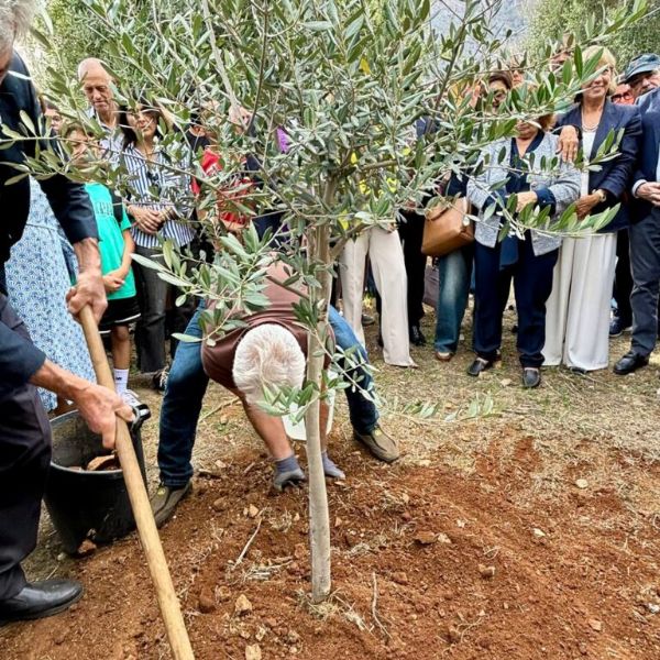 Un ulivo di memoria e speranza al Parco della Memoria di Capaci per il piccolo Claudio Domino, Un ulivo di memoria e speranza al Parco della Memoria di Capaci per il piccolo Claudio Domino