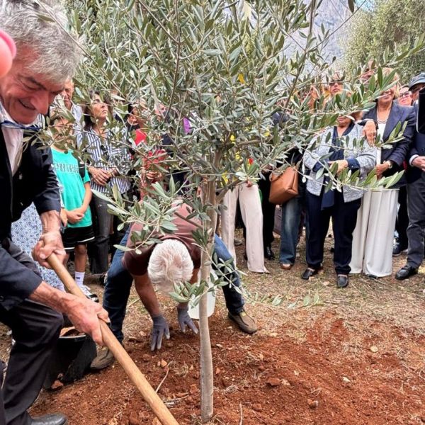 Un ulivo di memoria e speranza al Parco della Memoria di Capaci per il piccolo Claudio Domino, Un ulivo di memoria e speranza al Parco della Memoria di Capaci per il piccolo Claudio Domino