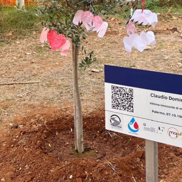Un ulivo di memoria e speranza al Parco della Memoria di Capaci per il piccolo Claudio Domino, Un ulivo di memoria e speranza al Parco della Memoria di Capaci per il piccolo Claudio Domino
